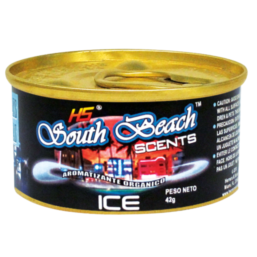 H5 South Beach ICE