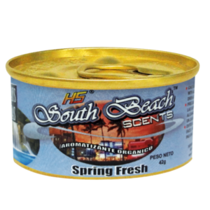 H5 South Beach Spring