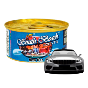 H5 South Beach carro nuevo